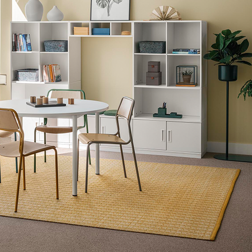 rug.png